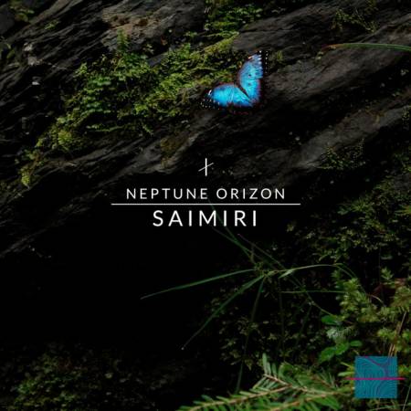 Picture of Saimiri Neptune Orizon  at Stereofox