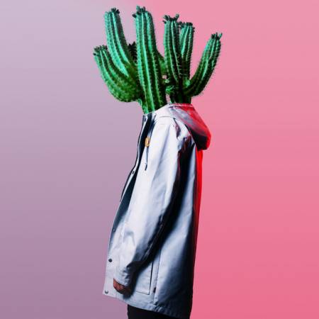 Picture of Cactus Dream PLÜM  at Stereofox
