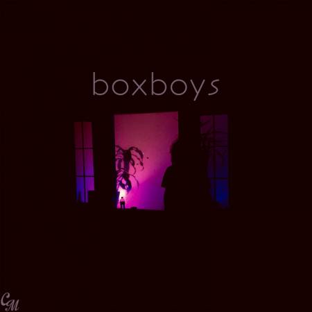Picture of i should probably get moving boxboys  at Stereofox