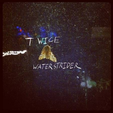 Picture of Twice (Little Dragon Cover) Waterstrider  at Stereofox