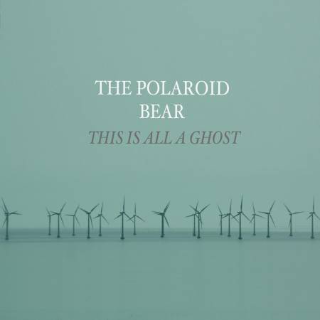 Picture of Interview: The Polaroid Bear at Stereofox
