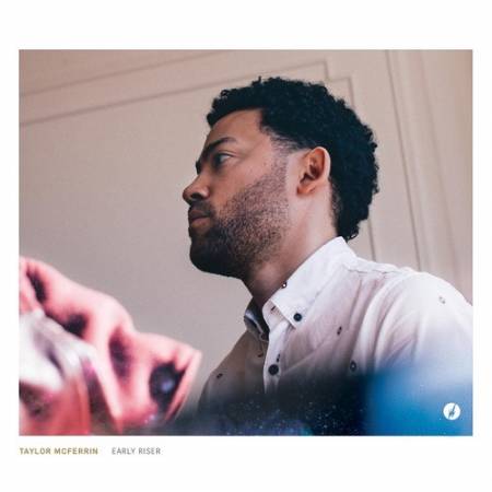 Picture of The Antidote (feat. Nai Palm) Taylor McFerrin  at Stereofox