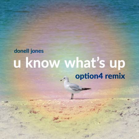 Picture of U Know What's Up (option4 Remix) Donell Jones  at Stereofox