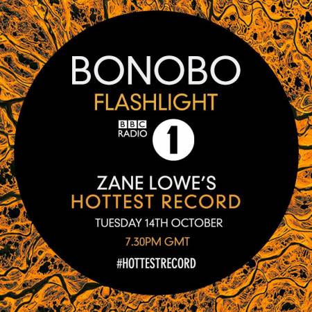 Picture of Flashlight Bonobo  at Stereofox