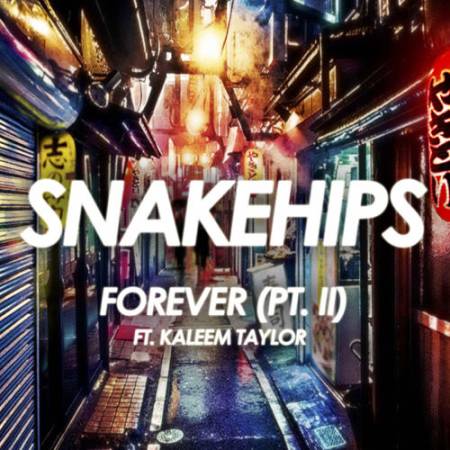 Picture of Forever (Pt. II) Feat. Kaleem Taylor Snakehips Kaleem Taylor  at Stereofox