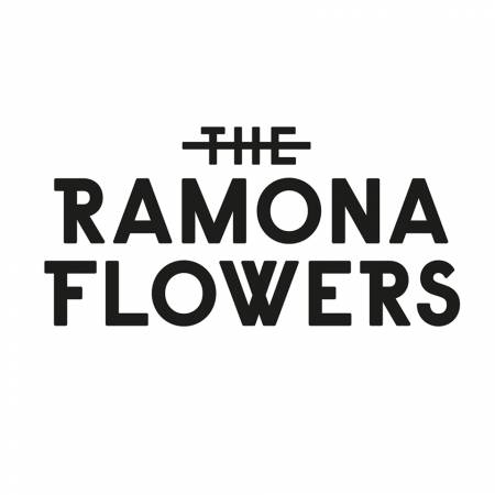 Artist The Ramona Flowers at Stereofox.com