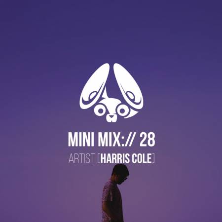 Picture of Stereofox Mini Mix://28 Artist (harris cole) at Stereofox