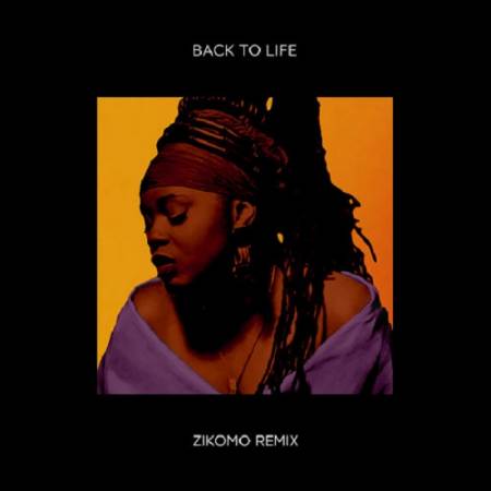 Picture of Back To Life (Zikomo Remix) Zikomo Soul II Soul  at Stereofox