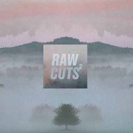 Picture of Album Review: ChillhopRaw Cuts 2 at Stereofox