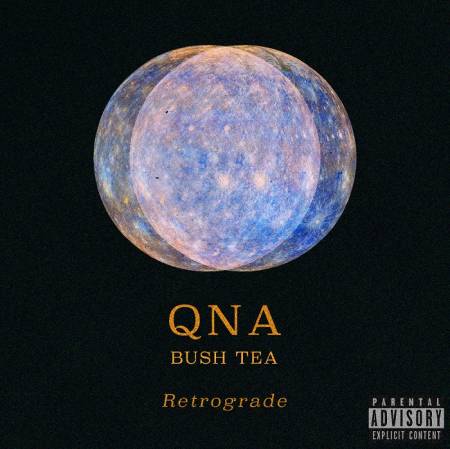 Picture of Retrograde ft. Bush Tea QNA  at Stereofox