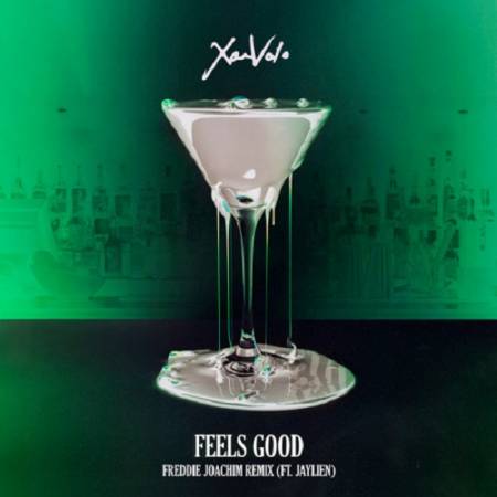 Picture of Feels Good (Freddie Joachim Remix) [feat. Jaylien] Freddie Joachim XamVolo  at Stereofox