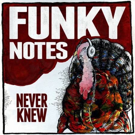 Picture of Never Knew Funky Notes  at Stereofox