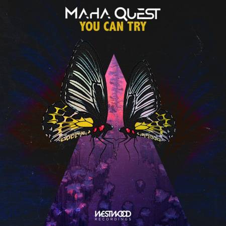 Picture of You Can Try Maha Quest  at Stereofox