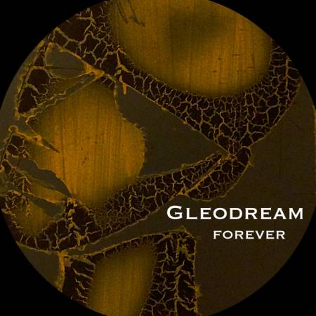Picture of Forever Gleodream  at Stereofox