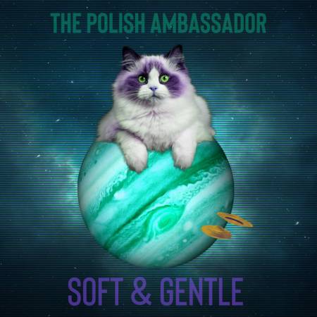 Picture of Soft & Gentle The Polish Ambassador  at Stereofox