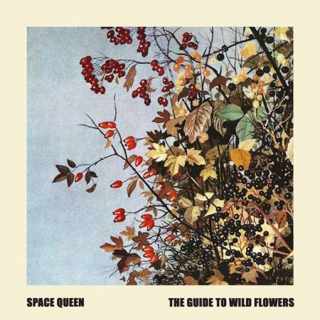 Picture of The Guide to Wild Flowers Space Queen  at Stereofox