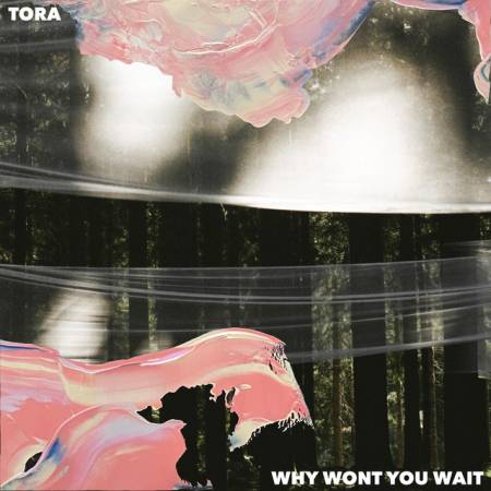 Picture of Why Won't You Wait Tora  at Stereofox