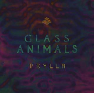 Picture of Psylla Glass Animals  at Stereofox