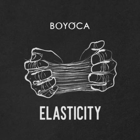 Picture of Elasticity Boyoca  at Stereofox