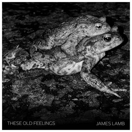 Picture of These Old Feelings James Lamb  at Stereofox